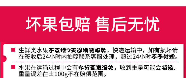 八九十枝花 正宗赣南脐橙原产地新鲜采摘香浓多汁果园直发果9斤包邮