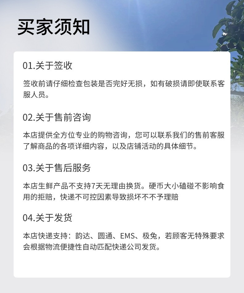  八九十枝花 云南昭通丑苹果冰糖心应季水果自家果园新鲜采摘源头直发