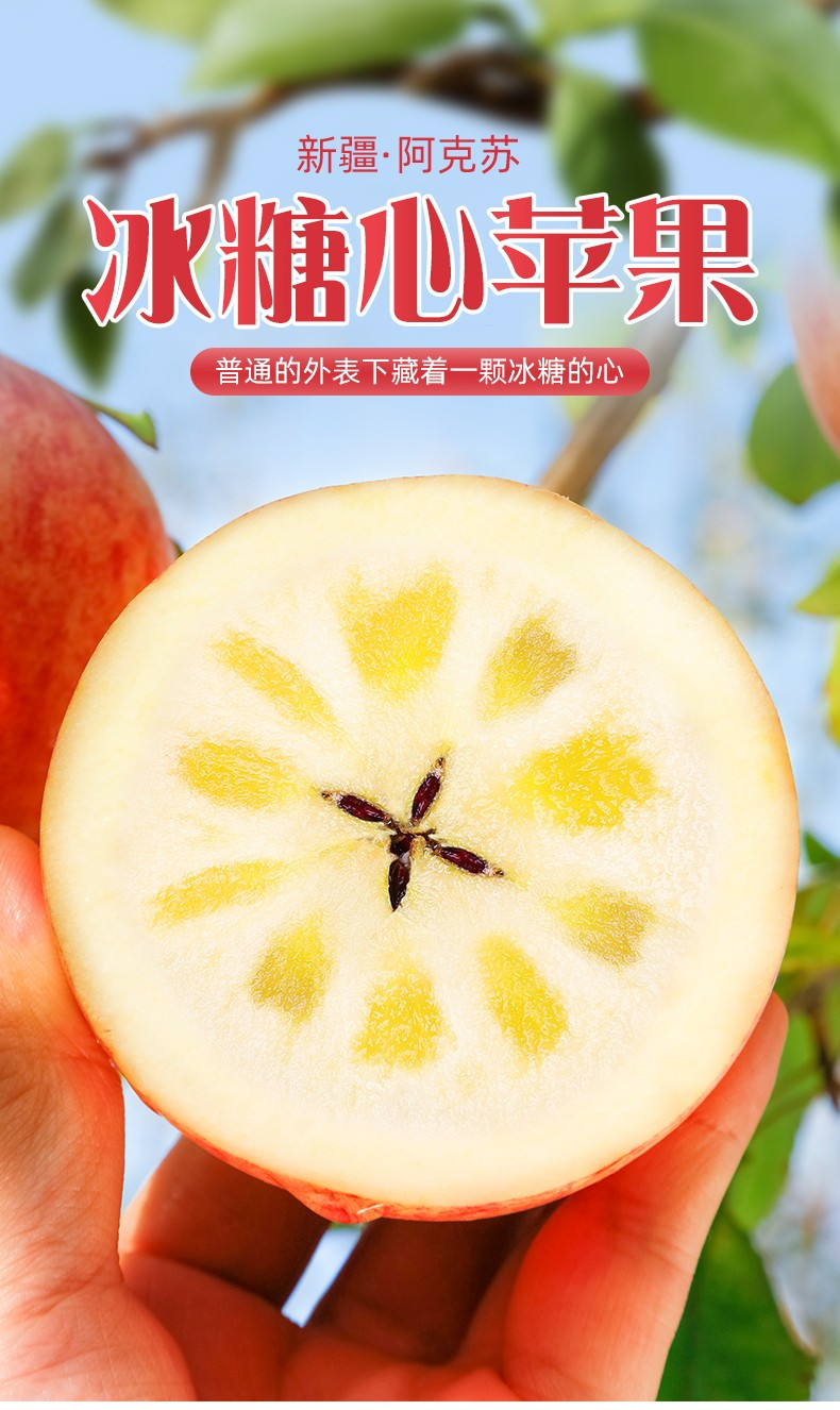 米奥客 新疆阿克苏红旗坡冰糖心苹果自然光果（果径85以上单果）包邮