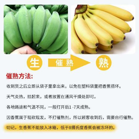 广西小米蕉当季新鲜水果包邮小香蕉皇帝焦
