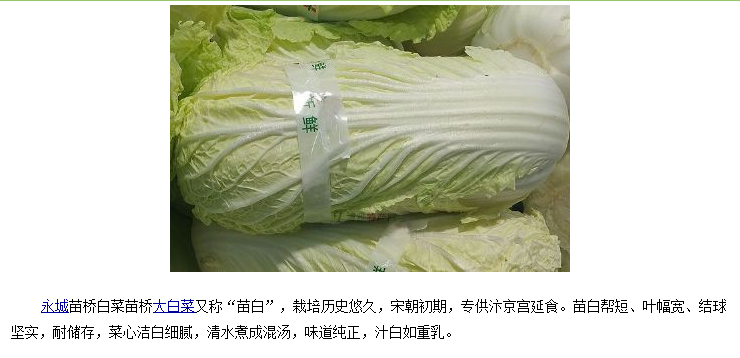 水城德福 商丘永城农品   苗桥大白菜