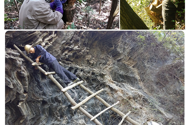 云海映象 神农架高山岩蜜高海拔崖蜜结晶蜜礼盒装500g