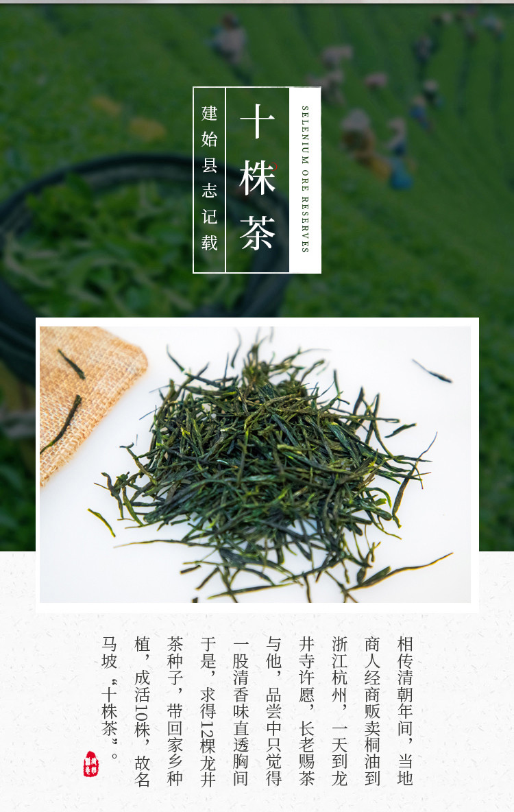 湖北恩施硒茶马坡十株绿茶150g小泡袋便携礼盒装