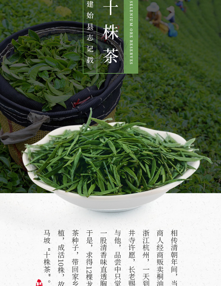 湖北恩施硒茶马坡十株雀舌绿茶100g袋装