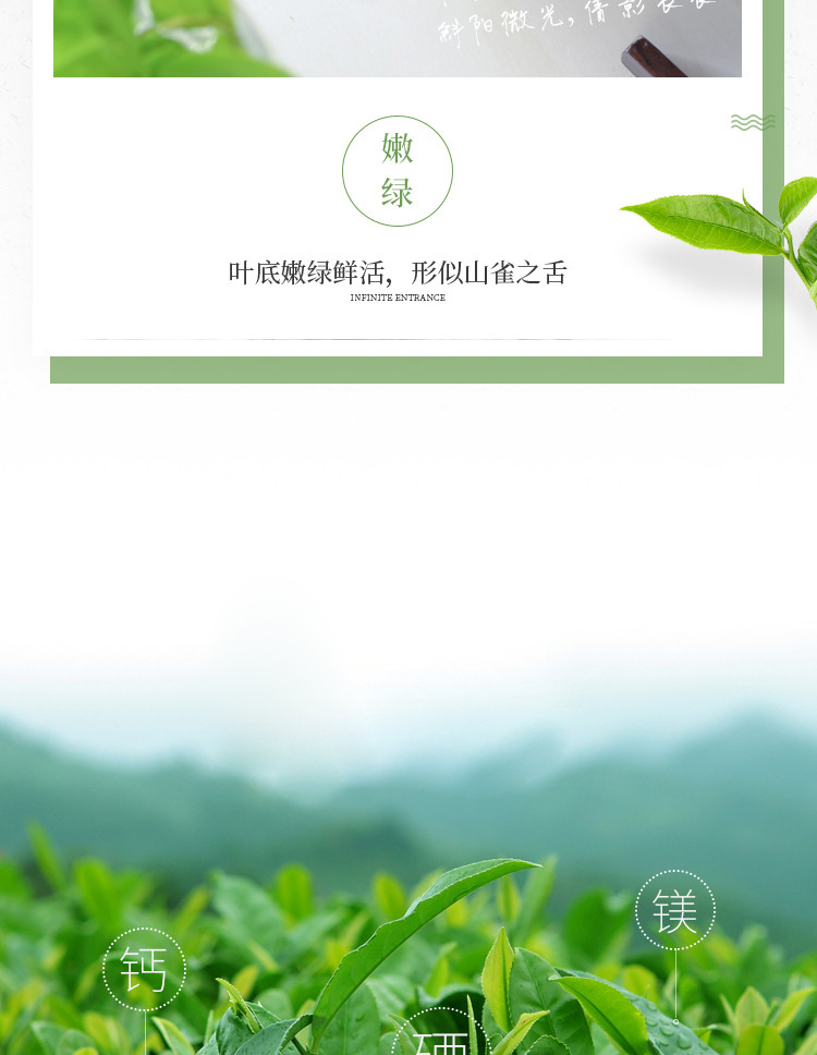 十株 湖北恩施硒茶马坡十株雀舌绿茶80g/罐