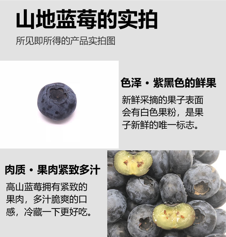 丹东山地蓝莓鲜果大果新鲜水果蓝莓