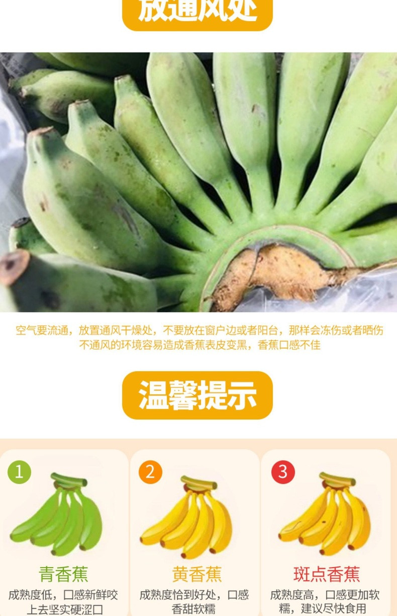 沃鲜汇 新鲜小米蕉粉水果当季水糯米蕉时令生鲜（发7~8成熟需要催熟）