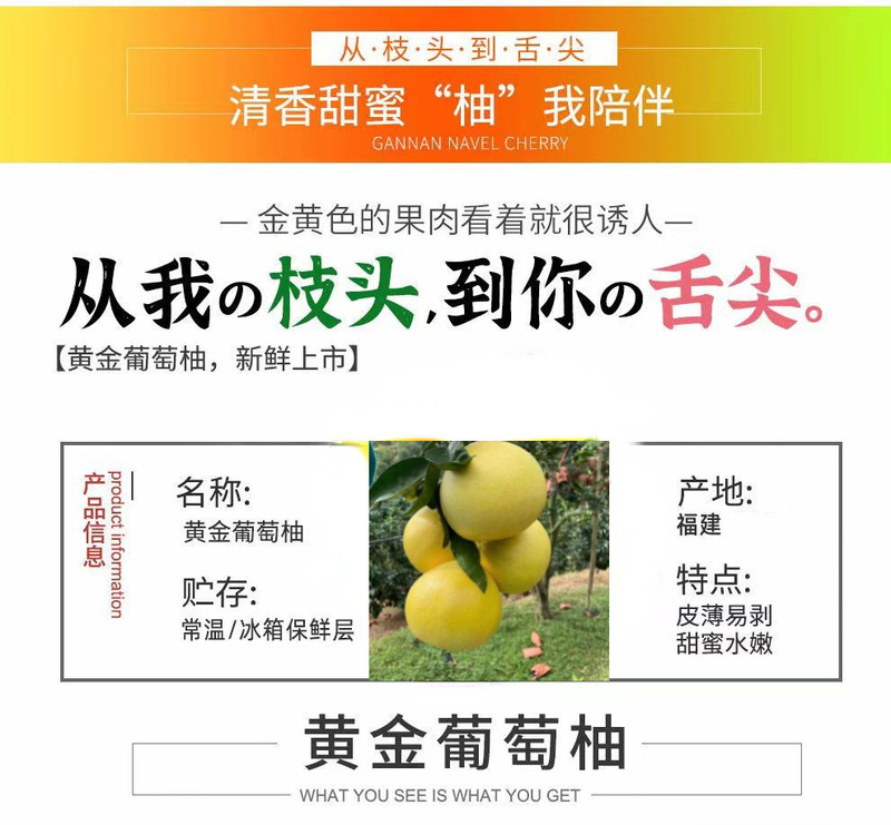 沃鲜汇 黄金葡萄柚礼盒装送榨汁器当季新鲜青柚黄柚甜嫩多汁