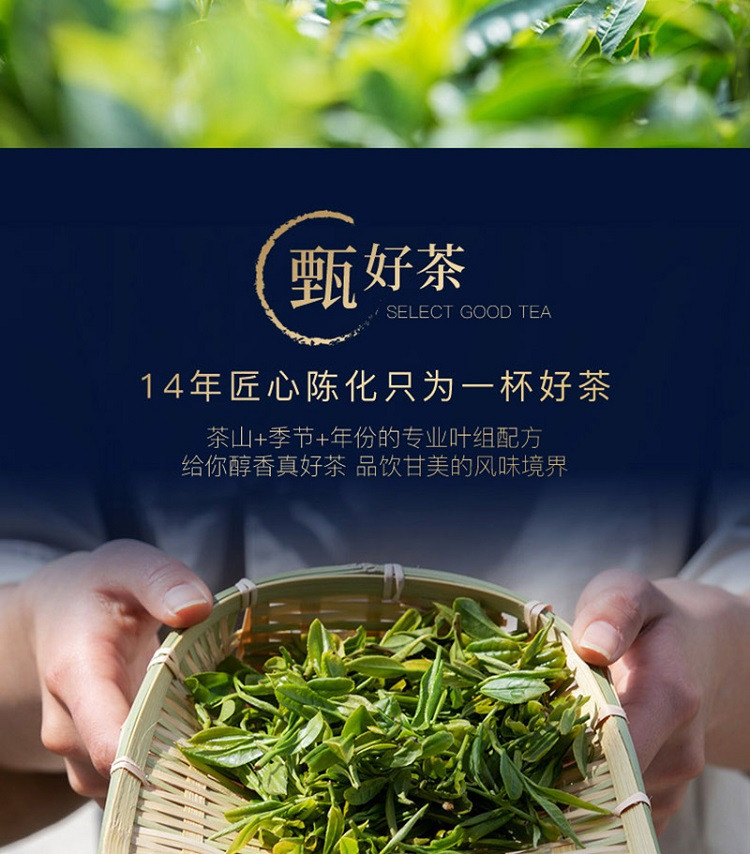 帝泊洱 普洱茶珍-甘醇(100支礼盒装）