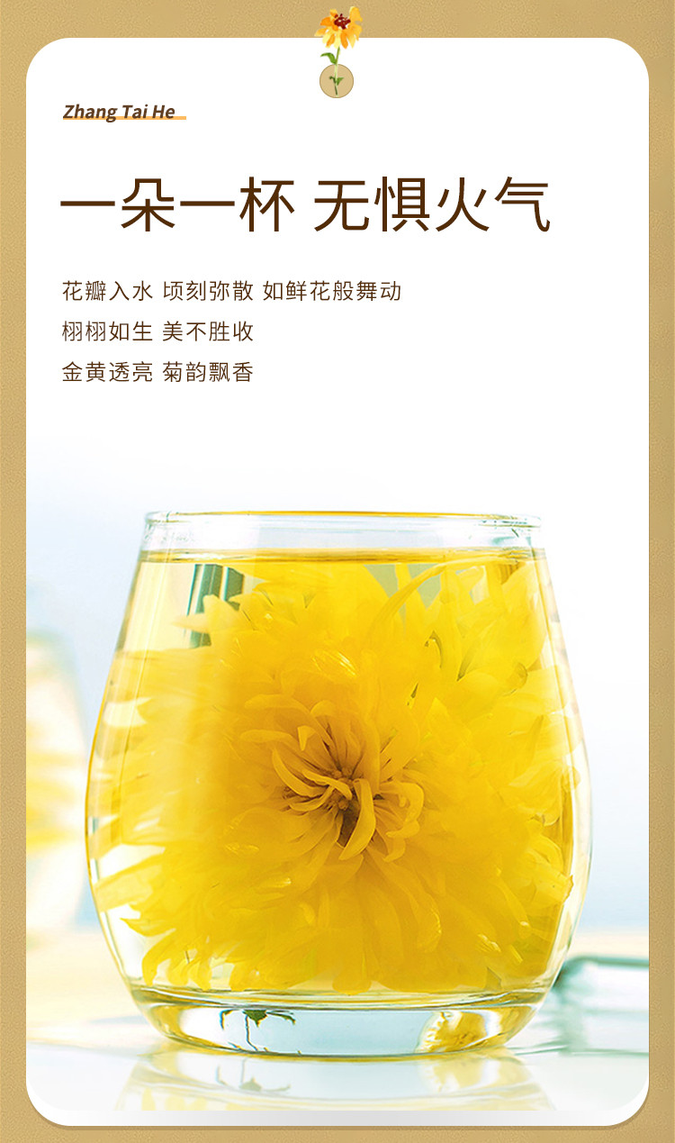 张太和 金丝皇菊 养生花茶