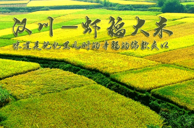 虾润乡 虾润乡 香米 虾稻米