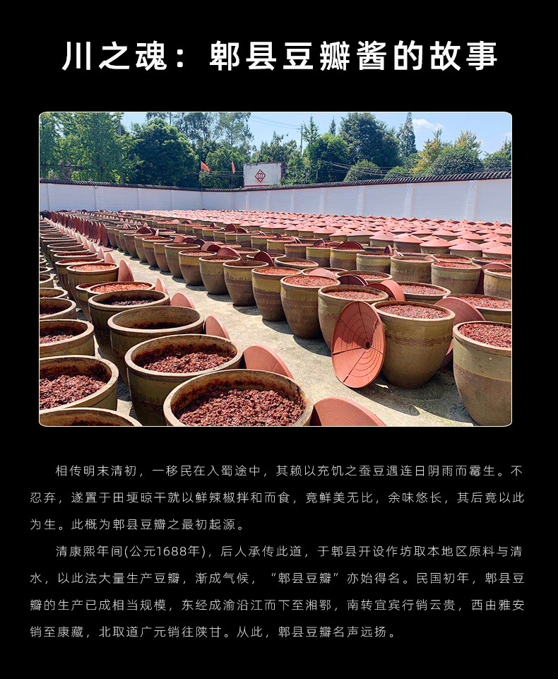 兆丰 郫县红油豆瓣酱360天酿造500g