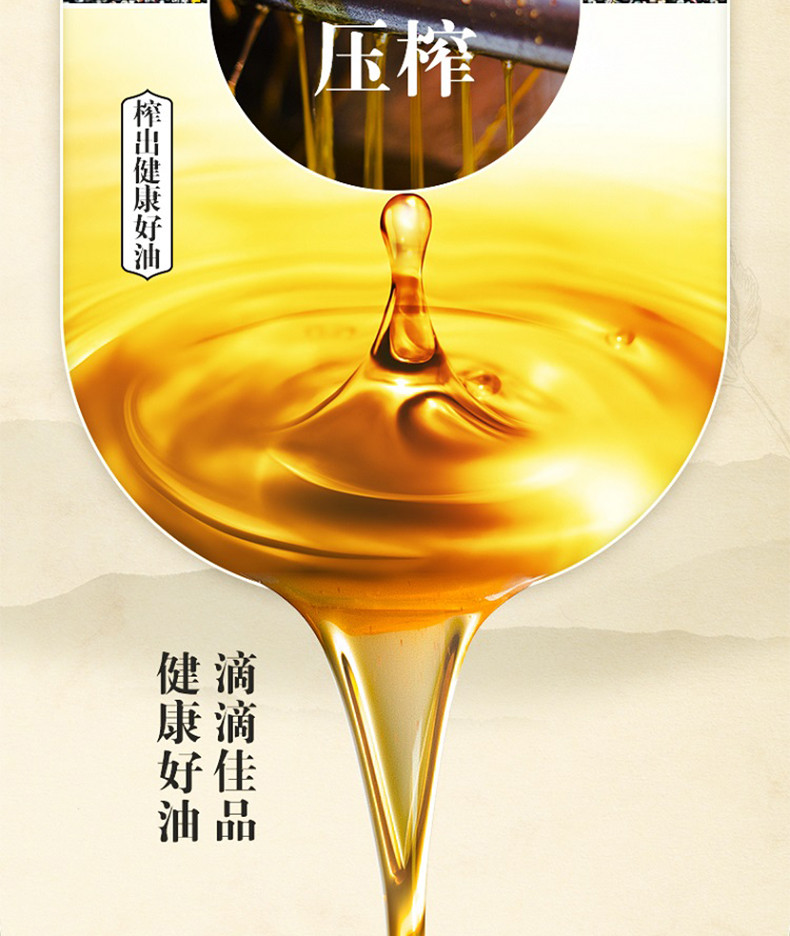 金龙鱼 压榨本香菜籽油非转基因5L