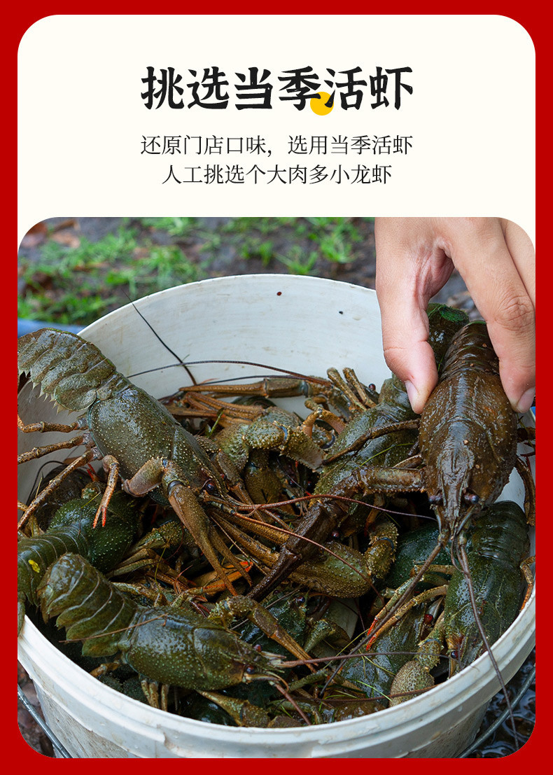  【活虾现捞现做】莱克精品小龙虾整虾700g*3加热即食（4-6钱）