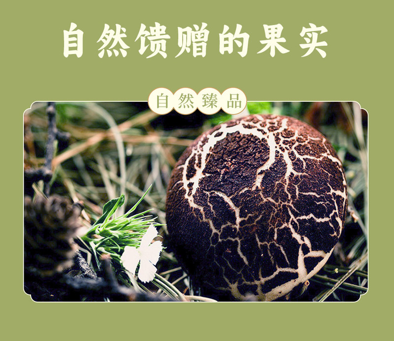 红乡记 精选花菇干货250g 椴木干菌花菇香菇蘑菇