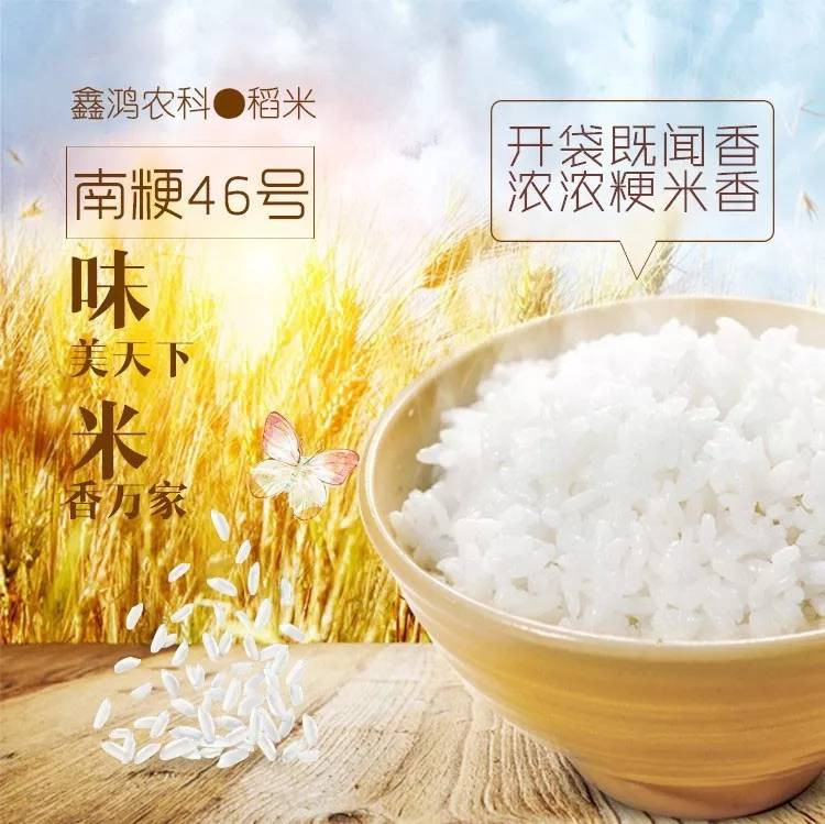 鑫鸿农科 雨花虾稻米5kg（3袋装）