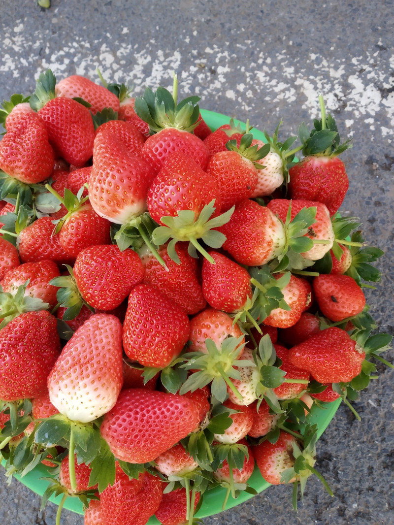 农家自产 仅限仙居本地草莓小小果试吃秒杀需自提