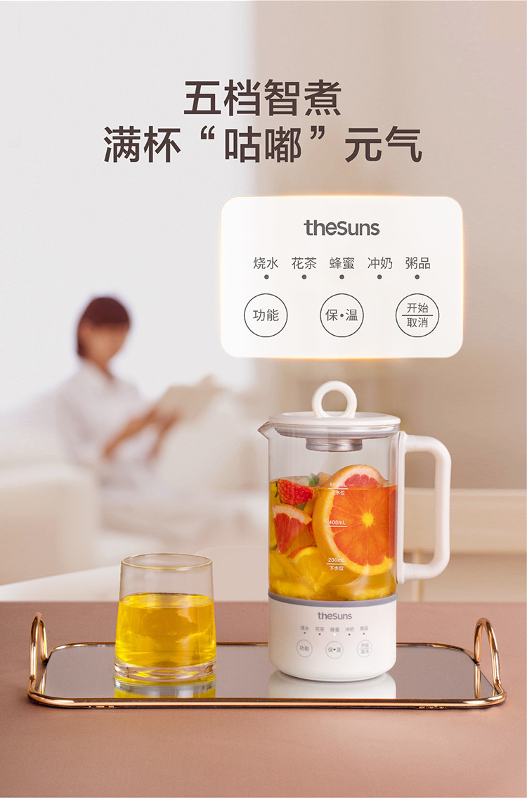 THESUNS 养生杯YB3