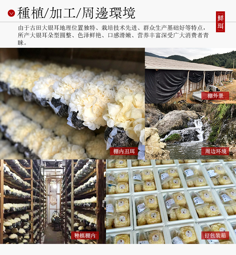 鲜珥家 【易煮多胶】干银耳250g干货易泡发煮 自然原味产地直销