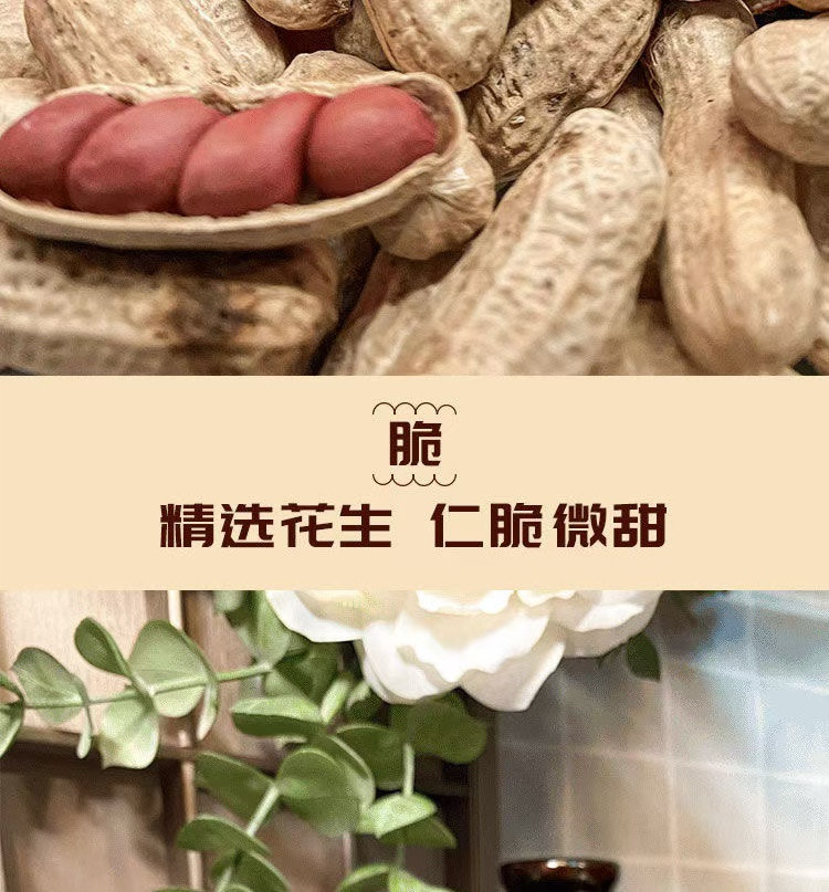 花生大掌柜 【山东邮政年货节】红皮花生原味炒熟带壳花生500g*2袋健康