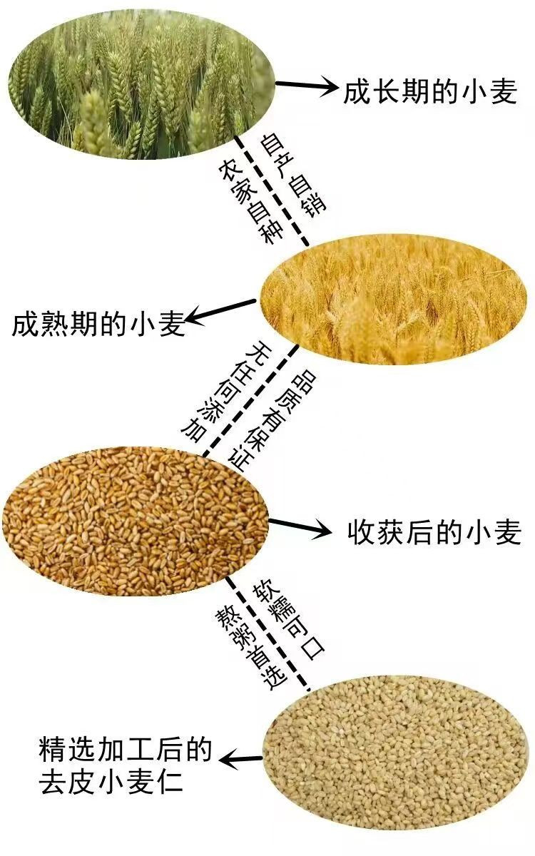 李家老碾子 小麦仁去皮优质新麦仁米脱壳带胚芽煮粥饭用1kg