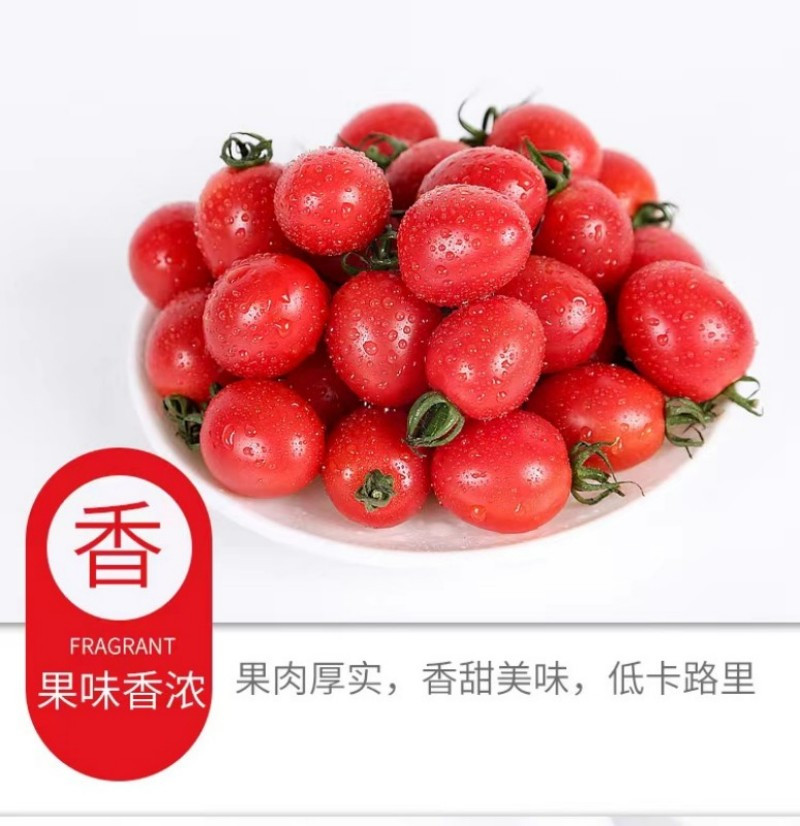 家佳惠 【领券立减】千禧圣女果 千禧6号2斤装 小西红柿