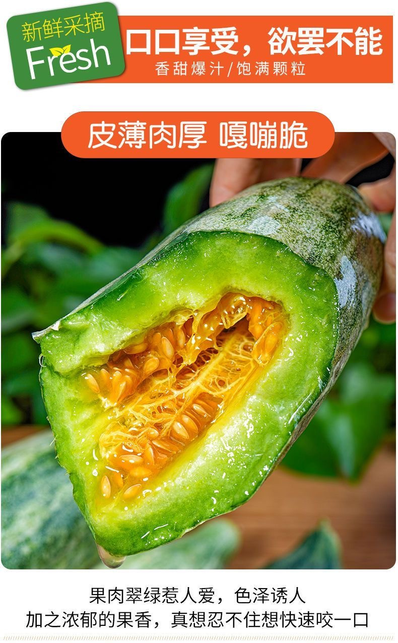 家佳惠 【现摘现发】头茬羊角蜜5斤装 山东新鲜当季蔬菜 脆甜多汁