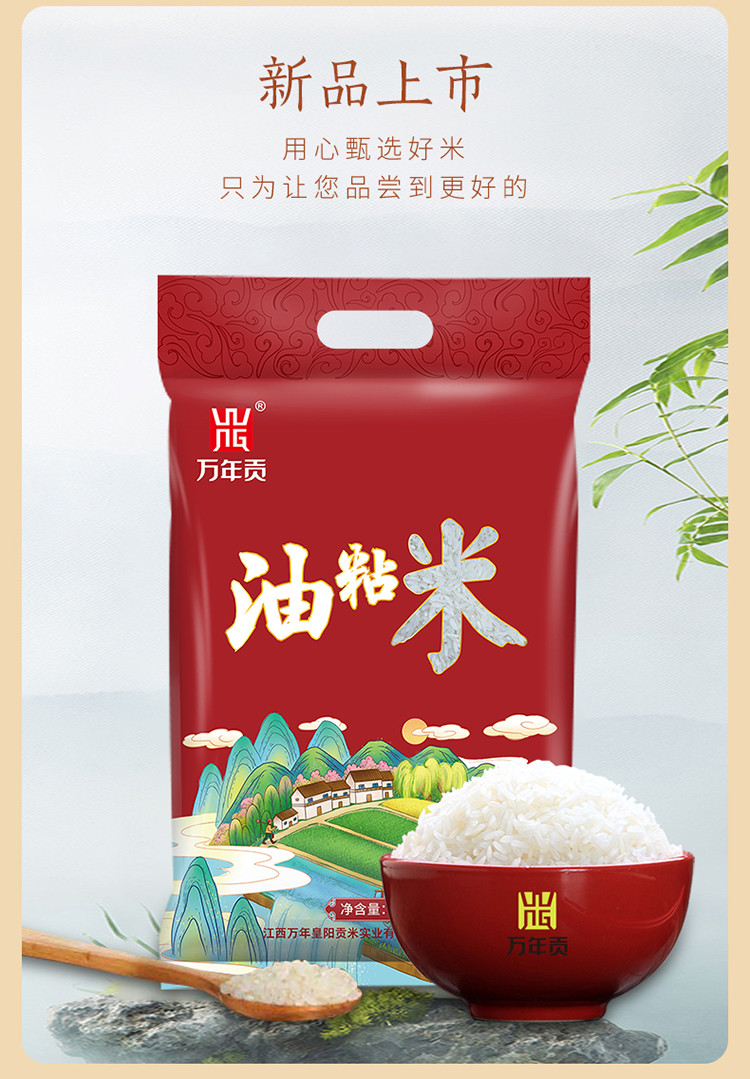 万年贡 油粘米5kg 大米 香软米 籼米 南方大米