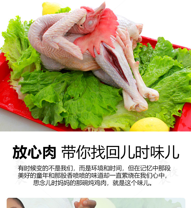 森牧农 正宗土鸡老公鸡跑山走地农家散养2年以上笨公鸡肉大土公鸡整只带内脏鸡胗