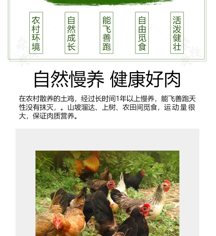 森牧农 乡村散养土鸡3年左右老母鸡月子鸡汤柴鸡肉农村笨鸡走地鸡重1100g±100g/1只