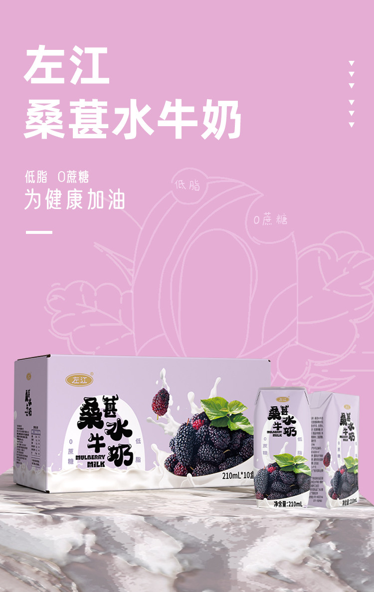 左江 桑葚水牛奶 210ml*10盒/箱