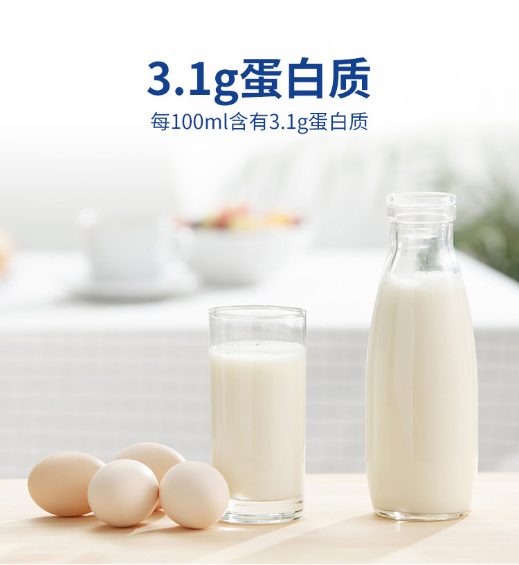  卓牧 精选纯羊奶200ml*6盒/提