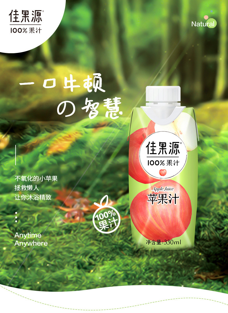 佳果源 100% 苹果汁 330ml*12瓶/箱