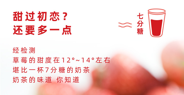 食欲跳动 辽宁丹东红颜草莓赤金款礼盒2.5斤单果30g+ 丹东现摘现发