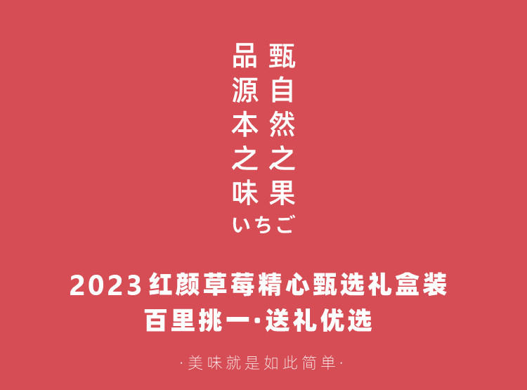 食欲跳动 辽宁丹东红颜草莓赤金款礼盒2.5斤单果30g+ 丹东现摘现发