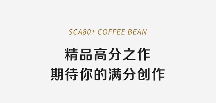  瑞幸咖啡 SOE 耶加雪菲咖啡豆250克/袋 中度烘焙