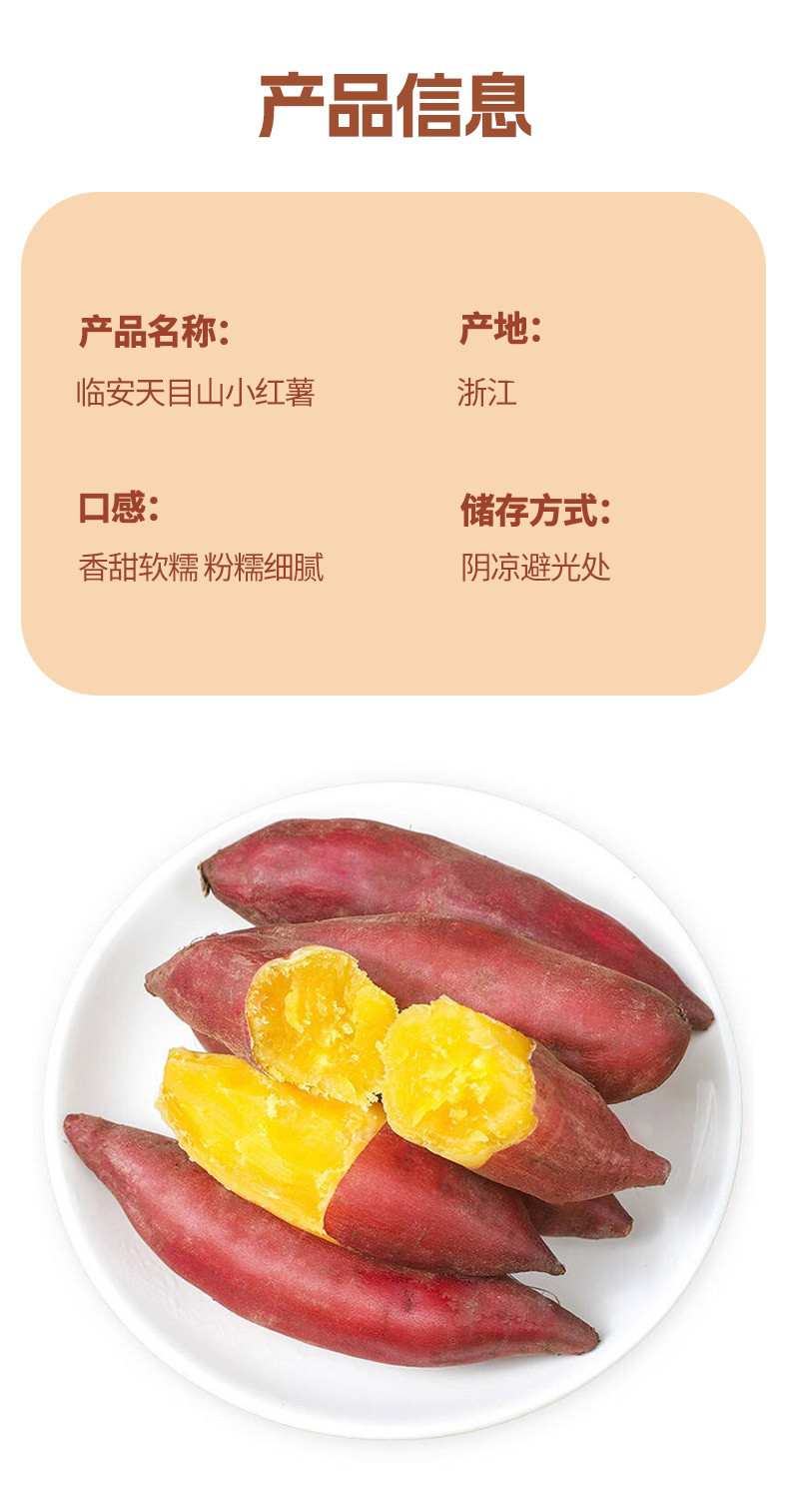 食欲跳动 浙江临安天目山小香薯 5斤 中大果50-250g 新鲜现挖现发