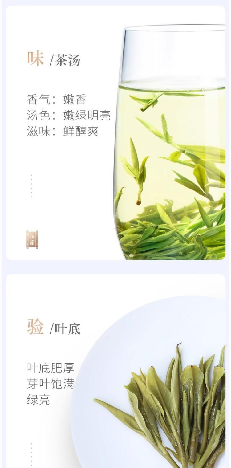 谢裕大 黄山毛峰铭门绿茶袋装100g/袋 品质决定口感 2024新茶