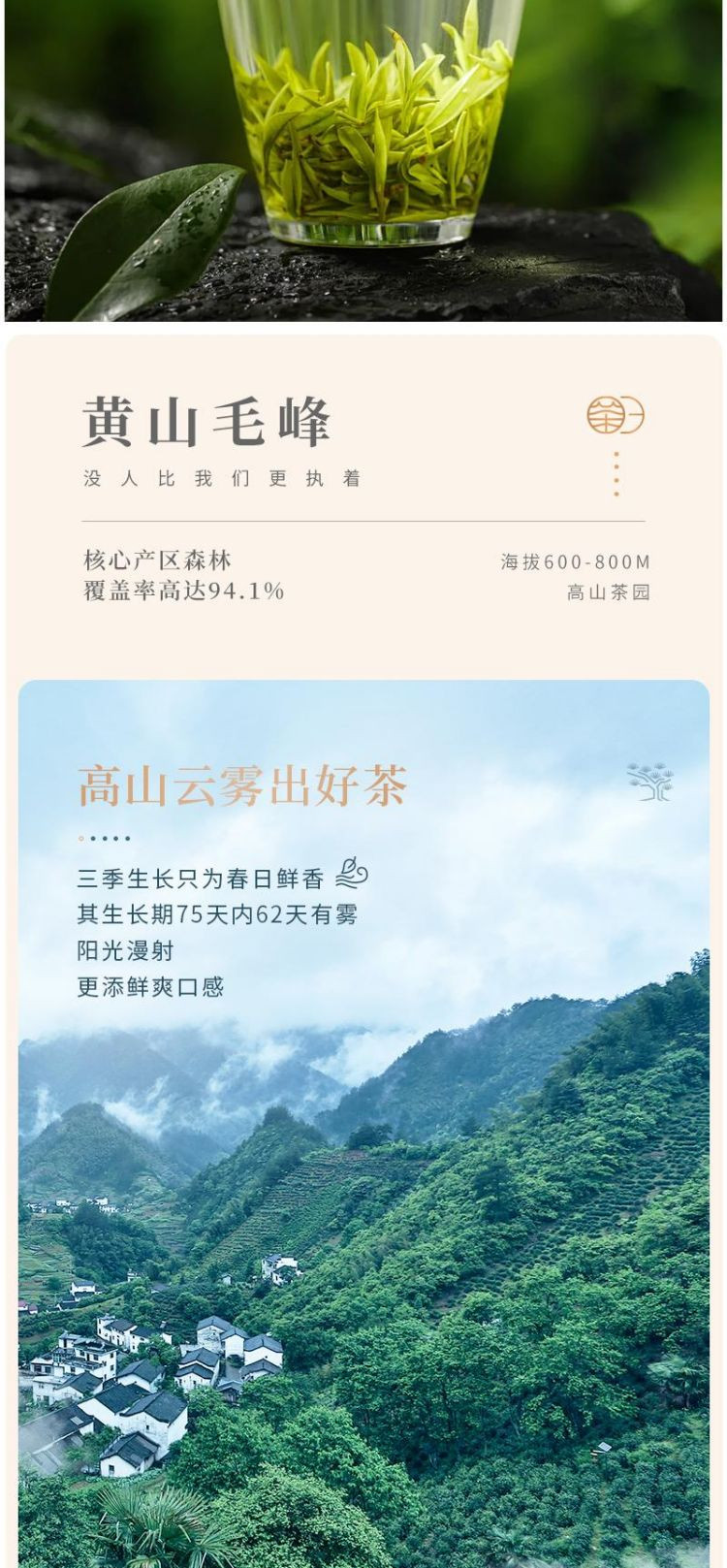 谢裕大 黄山毛峰铭门绿茶袋装100g/袋 品质决定口感 2024新茶