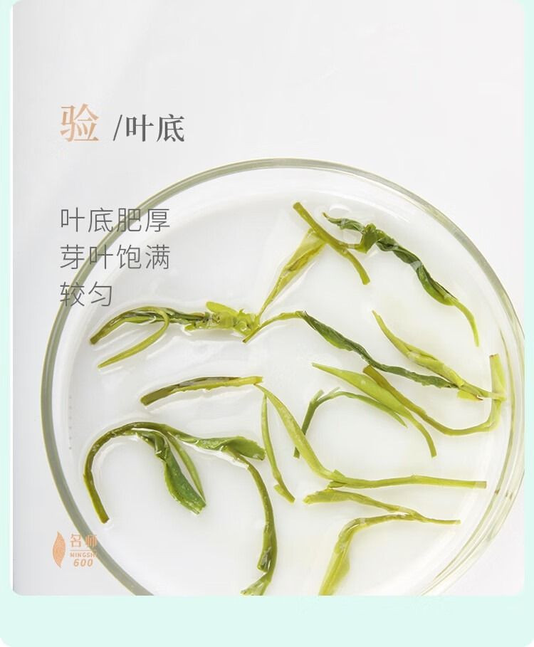 谢裕大 黄山毛峰 匠心300绿茶 250g/袋  2024新茶