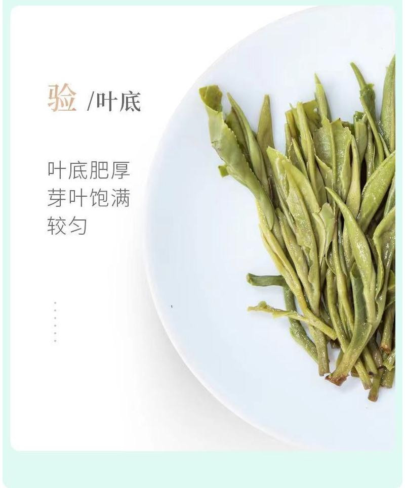 谢裕大 黄山毛峰 匠心1000绿茶 100g/袋  2024新茶