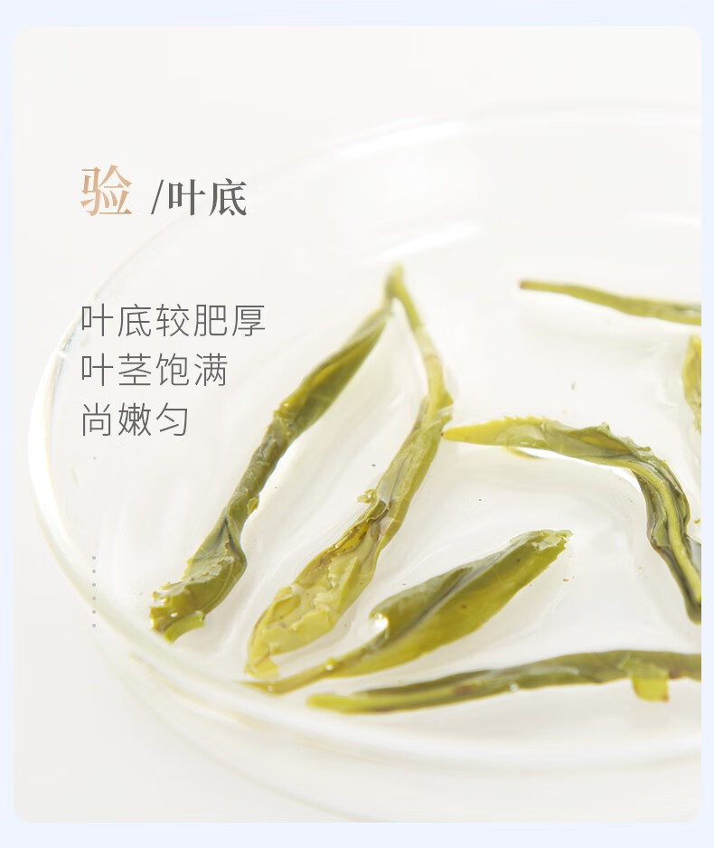 谢裕大 黄山毛峰匠心500绿茶 250g/袋 2024新茶