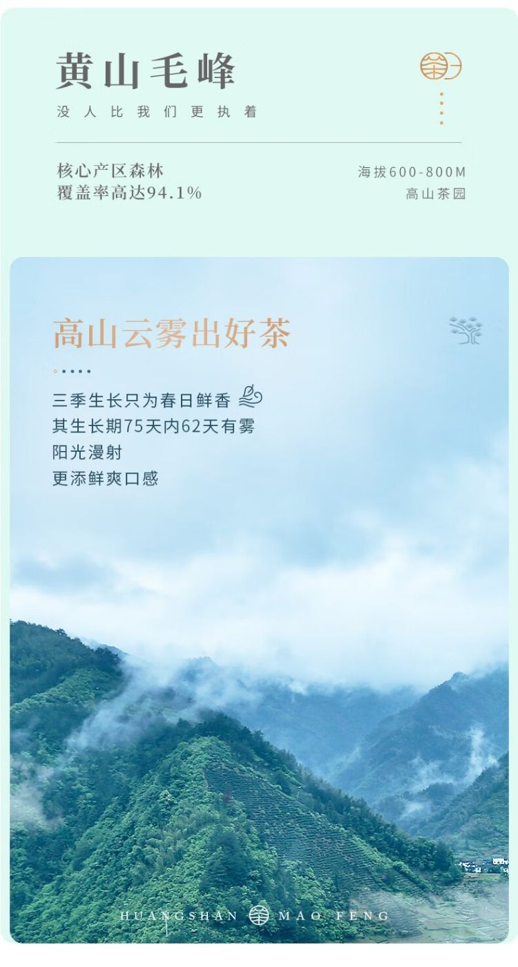 谢裕大 黄山毛峰 匠心300绿茶 250g/袋  2024新茶