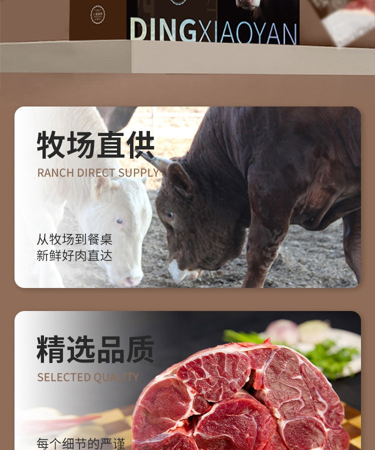 丁小宴 御品黄牛1298型 4900g礼盒 牛腱子牛腩块牛肉粒牛眼肉