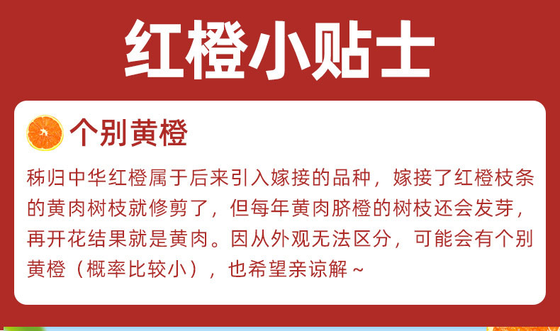 食欲跳动 湖北秭归中华红橙 5斤中果 （单果约65-70mm 约18个