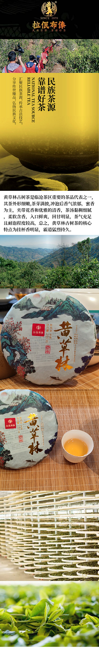 中国邮政 【邮乐官方直播间】云南双江丰华2022年黄草林春茶200克/饼