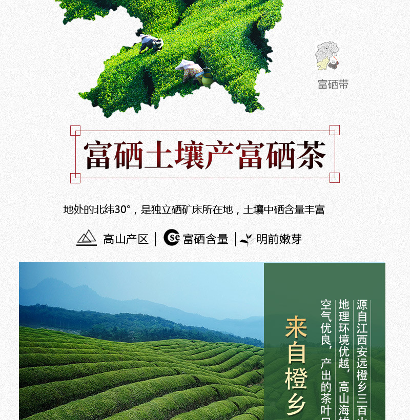 橙乡三百山 江西富硒绿茶养生口粮茶200克/罐