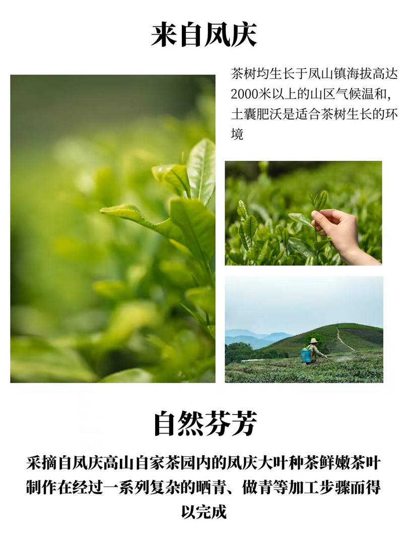 春茗茶业 云南凤庆 工夫红茶 红韵滇红茶  100g家庭盒装