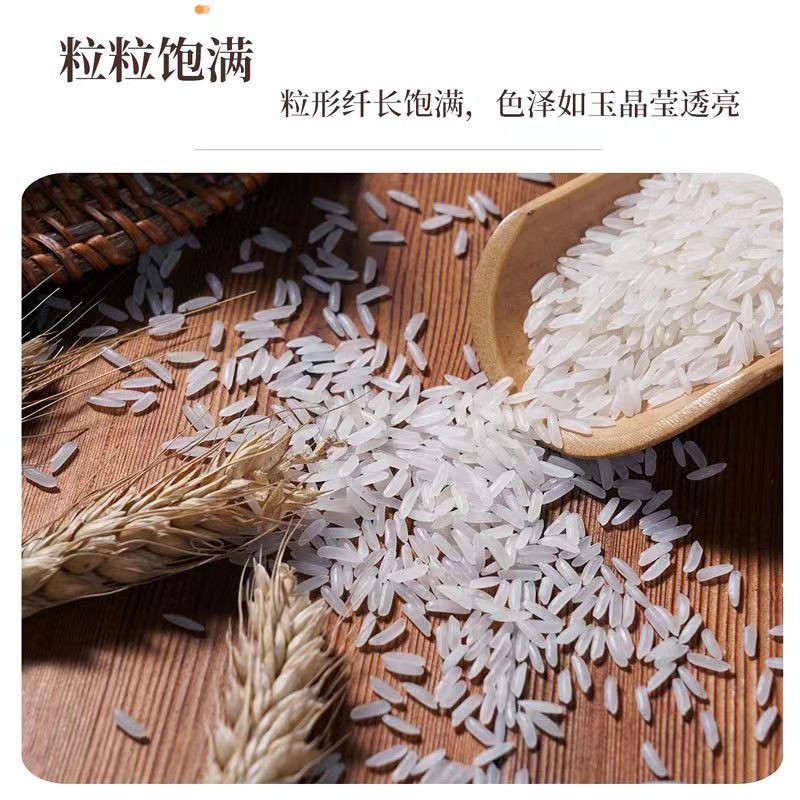 邮鲜生 百坭稻香大米