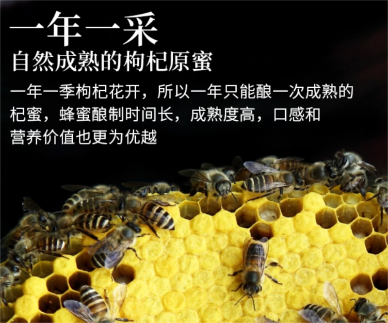 邮政农品 西藏枸杞蜂蜜